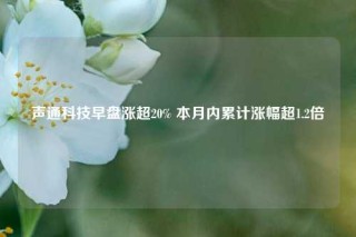 声通科技早盘涨超20% 本月内累计涨幅超1.2倍