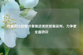 欧盟愿以较慢节奏推进美欧贸易谈判，力争更全面协议