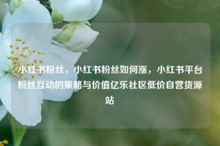 小红书粉丝，小红书粉丝如何涨，小红书平台粉丝互动的策略与价值亿乐社区低价自营货源站