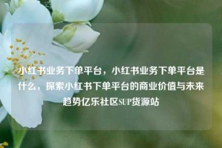 小红书业务下单平台，小红书业务下单平台是什么，探索小红书下单平台的商业价值与未来趋势亿乐社区SUP货源站