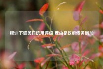 穆迪下调美国信用评级 理由是政府债务增加