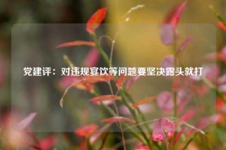 党建评：对违规宴饮等问题要坚决露头就打