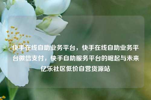 快手在线自助业务平台	，快手在线自助业务平台微信支付，快手自助服务平台的崛起与未来亿乐社区低价自营货源站  第1张