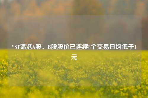 *ST锦港A股	、B股股价已连续8个交易日均低于1元  第1张