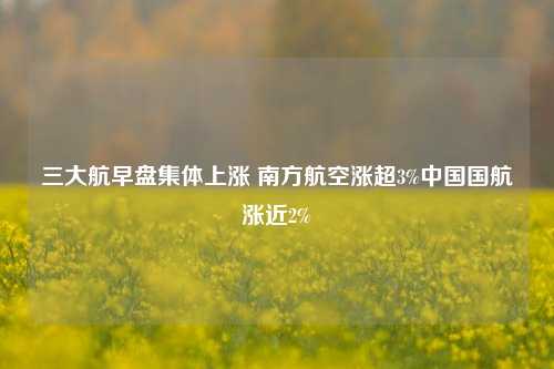 三大航早盘集体上涨 南方航空涨超3%中国国航涨近2%  第1张