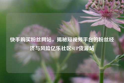 快手购买粉丝网站，揭秘短视频平台的粉丝经济与风险亿乐社区SUP货源站  第1张