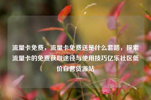 流量卡免费	，流量卡免费送是什么套路，探索流量卡的免费获取途径与使用技巧亿乐社区低价自营货源站  第1张