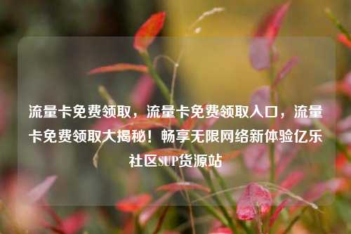 流量卡免费领取，流量卡免费领取入口，流量卡免费领取大揭秘！畅享无限网络新体验亿乐社区SUP货源站  第1张