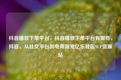 抖音播放下单平台，抖音播放下单平台有哪些	，抖音，从社交平台到电商新宠亿乐社区SUP货源站  第1张