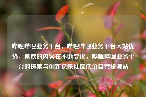 哔哩哔哩业务平台	，哔哩哔哩业务平台网站优势，喜欢的内容在不断变化，哔哩哔哩业务平台的探索与创新亿乐社区低价自营货源站  第1张