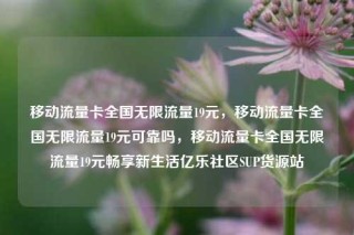 移动流量卡全国无限流量19元，移动流量卡全国无限流量19元可靠吗，移动流量卡全国无限流量19元畅享新生活亿乐社区SUP货源站