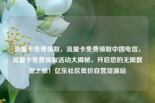 流量卡免费领取，流量卡免费领取中国电信，流量卡免费领取活动大揭秘，开启您的无限数据之旅！亿乐社区低价自营货源站