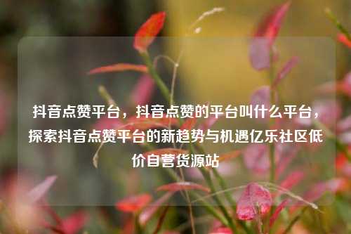 抖音点赞平台，抖音点赞的平台叫什么平台	，探索抖音点赞平台的新趋势与机遇亿乐社区低价自营货源站  第1张