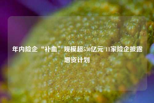 年内险企“补血”规模超530亿元 11家险企披露增资计划  第1张