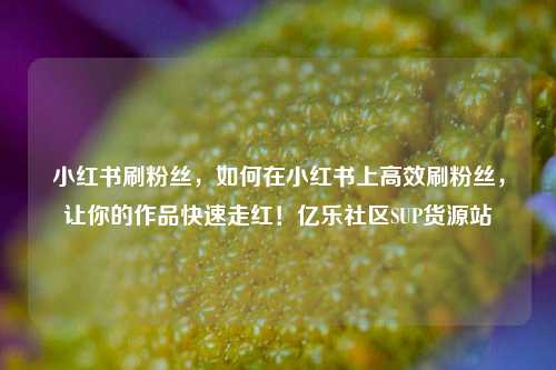 小红书刷粉丝	，如何在小红书上高效刷粉丝，让你的作品快速走红！亿乐社区SUP货源站  第1张