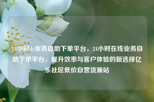 24小时dy业务自助下单平台	，24小时在线业务自助下单平台，提升效率与客户体验的新选择亿乐社区低价自营货源站  第1张