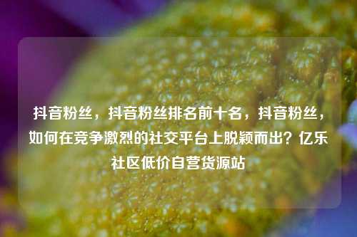 抖音粉丝，抖音粉丝排名前十名，抖音粉丝	，如何在竞争激烈的社交平台上脱颖而出？亿乐社区低价自营货源站  第1张