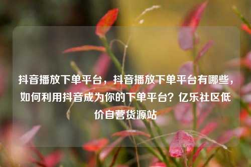 抖音播放下单平台	，抖音播放下单平台有哪些，如何利用抖音成为你的下单平台？亿乐社区低价自营货源站  第1张